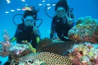 south-ari-atoll-diving.jpg