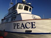 Peace bow.jpg