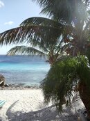 DSC01355.jpg