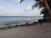 DSC02135.jpg