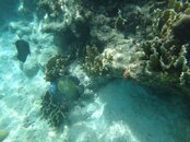DSC02297.jpg