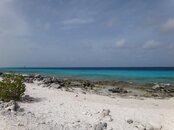 Hilma Hooker Dive Site.jpg