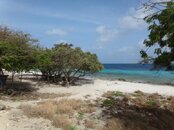 WindSock Dive Site.jpg