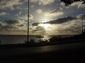 DSC01377.jpg