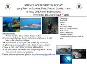 photo competition.jpg