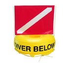 Diver Below.jpg