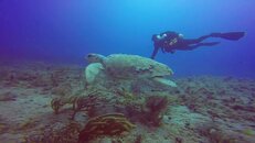 vlcsnap-2014-06-29-16h59m53s164.jpg