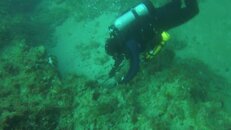 vlcsnap-2014-06-29-17h04m54s31.jpg