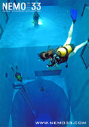 Poster-padi3.jpg