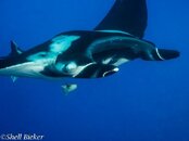 20140316-socorro.jpg