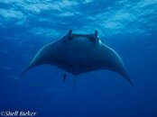 20140316-socorro-2.jpg