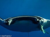 20140316-socorro-3.jpg
