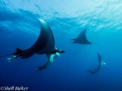 20140316-socorro-4.jpg