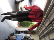 IMG_0001.jpg