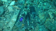 vlcsnap-2014-06-30-23h31m58s169.jpg