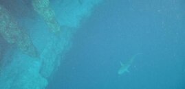 blue hole.jpg