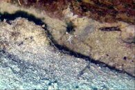 IMG-20140709-WA0002.jpg