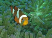 IMG-20140709-WA0004.jpg
