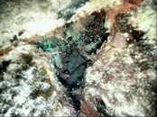 IMG-20140709-WA0007.jpg