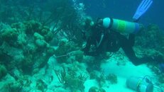 lionfish red hunter Dee 2014-06-20 TR-os.jpg