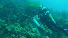 lionfish red hunter Dee 2014-06-20 TR-ls.jpg
