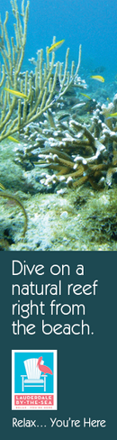 2f447a6e9543309f92fd12c5d39a2e3d.png