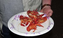 Crawdads.jpg