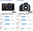 Rx100EOS100D.jpg
