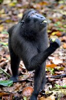 DSC_0873.jpg
