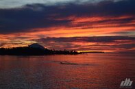 DSC_0675.jpg