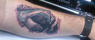 Shark Tat.jpg