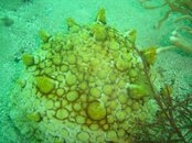 DSC04796 (Large).jpg