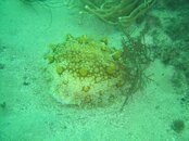 DSC04802 (Large).jpg
