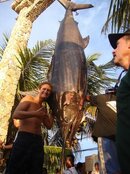 bigassfish.jpg