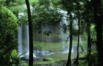 waterfall-Palau.gif