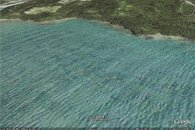 Dugon.jpg