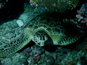 IMAG0041-1.jpg