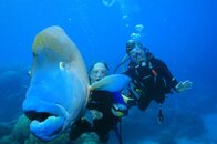 IMG_0662.jpg