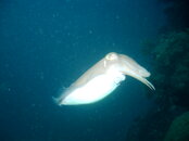 IMAG0102.JPG