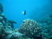 IMAG0028.JPG