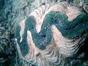 IMAG0110.jpg