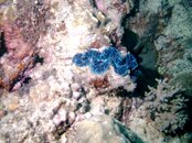 IMAG0049.jpg