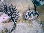 IMAG0115.jpg