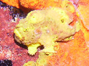 PICT0118_edited.JPG