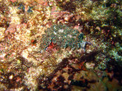 081110 Flat Rock 063.jpg