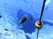 PICT0016.JPG
