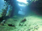 PICT0429.jpg