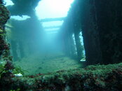 PICT0489.jpg