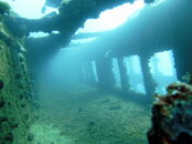 PICT0490.jpg
