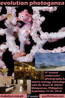malapascua-island-marine-photography-workshop-600x900.jpg